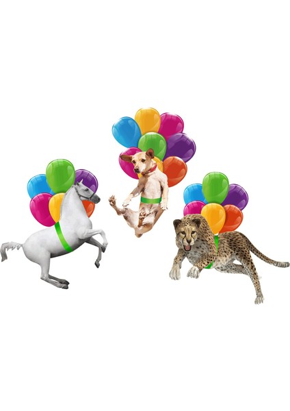 Balon Süsleme, Balon Pastoral ile Iç Sarkık (Yurt Dışından) fırsatları