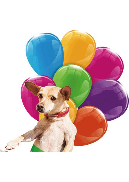 Balon Süsleme, Balon Pastoral ile Iç Sarkık (Yurt Dışından) indirimleri