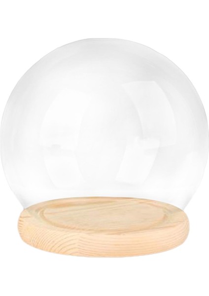 Tabanlı Şeffaf Cam Cloche Dome Dollhouse Dekorasyon Cloche cm Ahşap Taban (Yurt Dışından)