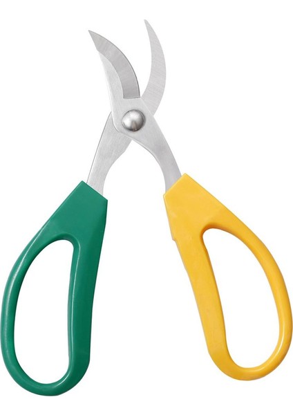 Paslanmaz Çelik Kesim, 5cm Kavisli Kesime (Yurt Dışından) fırsatları