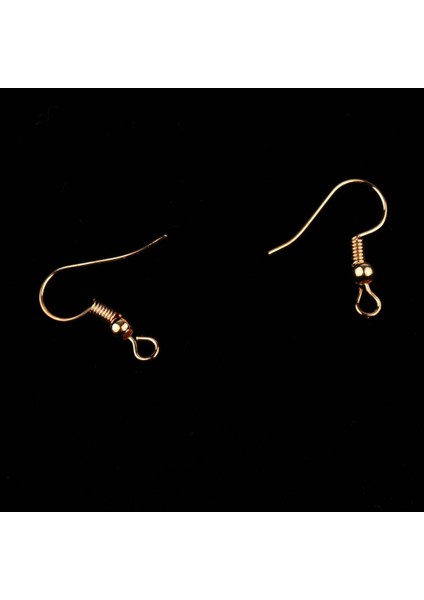 Küpe Kancaları Altın (Yurt Dışından) modelleri