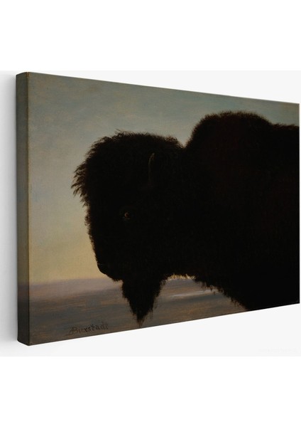 Albert Bierstadt - Bufalo Kafası TABLOSU-7254