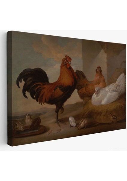 Francis Barlow - Evcil Horoz, Tavuklar ve Civcivler TABLOSU-7067