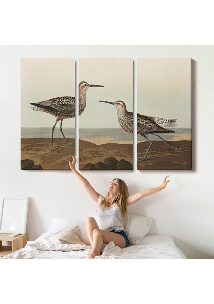 Uzun Bacaklı Çulluk Vintage Tablosu indirimleri