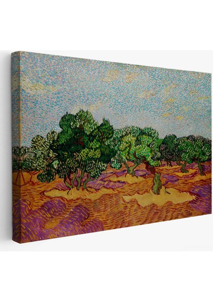 Vincent Willem Van Gogh - Zeytin Ağaçları Tablosu - Olive TREES-7155