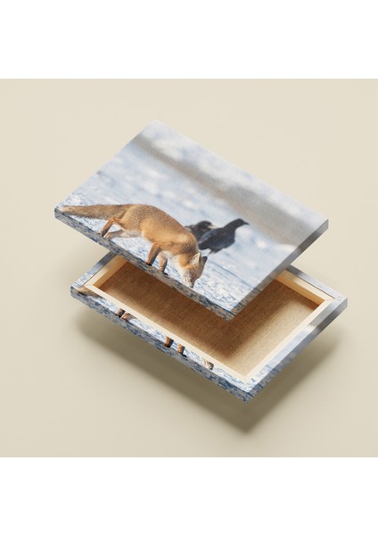 Kanvas Tablo -Kızıl Tilki Serisi fırsatları