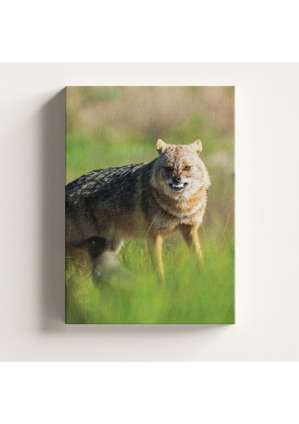 Kanvas Tablo -Kızıl Tilki Serisi