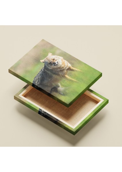 Kanvas Tablo -Kızıl Tilki Serisi fiyatları