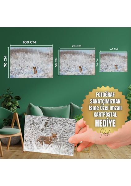 Kanvas Tablo -Kızıl Tilki Serisi modelleri