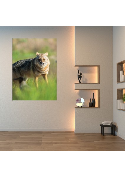 Kanvas Tablo -Kızıl Tilki Serisi fırsatları