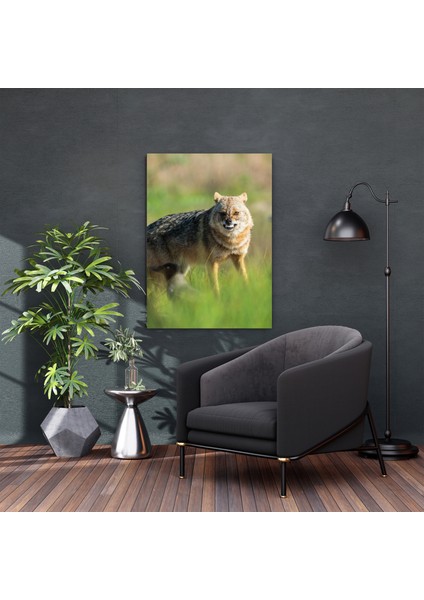 Kanvas Tablo -Kızıl Tilki Serisi indirimleri