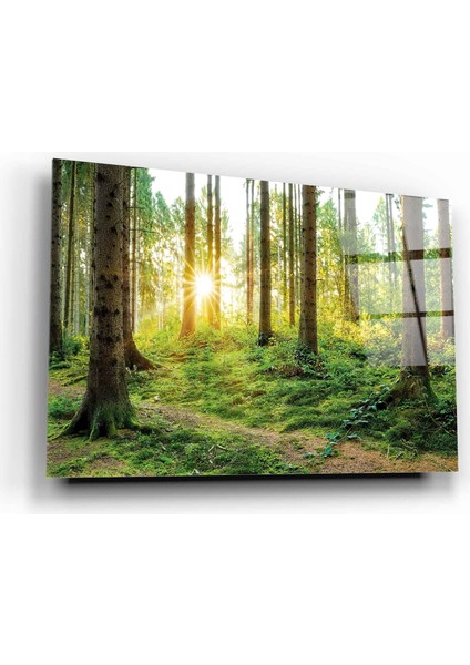 Manzara Cam Tablo | Hediyelik, Dekoratif, Ofis, Mutfak