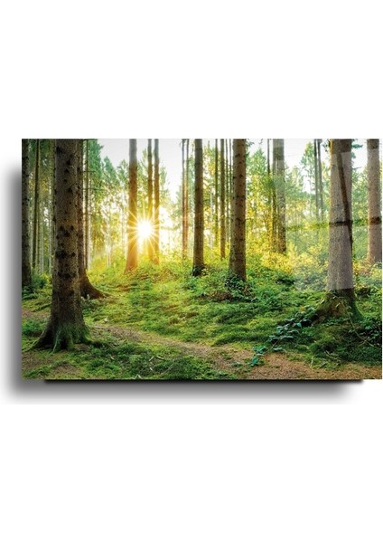 Manzara Cam Tablo | Hediyelik, Dekoratif, Ofis, Mutfak modelleri