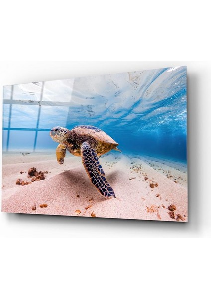 Deniz Kaplumbağası Cam Tablo | Hediyelik, Dekoratif, Ofis, Mutfak fiyatları