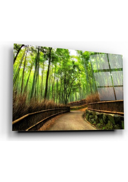 Orman Yolu Cam Tablo | Hediyelik, Dekoratif, Ofis, Mutfak