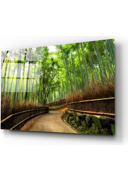 Orman Yolu Cam Tablo | Hediyelik, Dekoratif, Ofis, Mutfak fiyatları