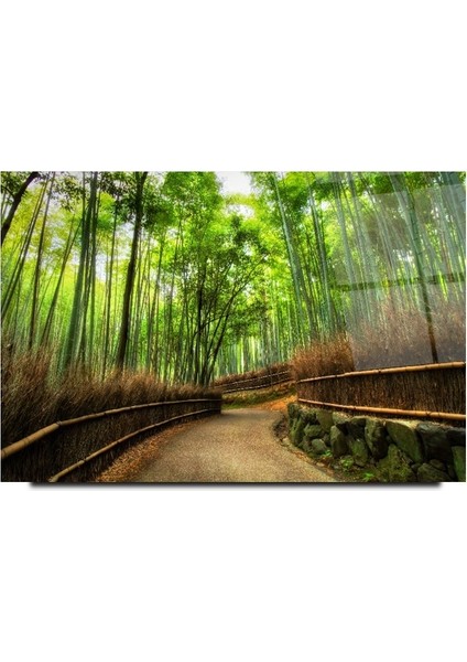Orman Yolu Cam Tablo | Hediyelik, Dekoratif, Ofis, Mutfak modelleri