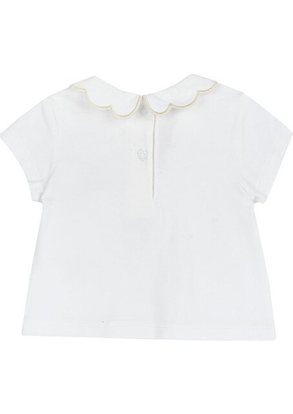 T-Shirt K.kol fiyatları