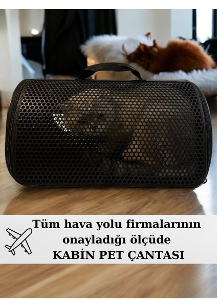Kedi ve Köpek Taşıma Çantası 40x30x23 cm Kabin Boy