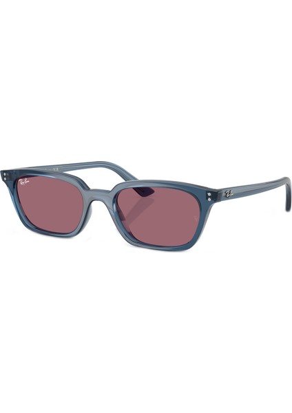 RB4456 68121A 50 Unisex Güneş Gözlüğü