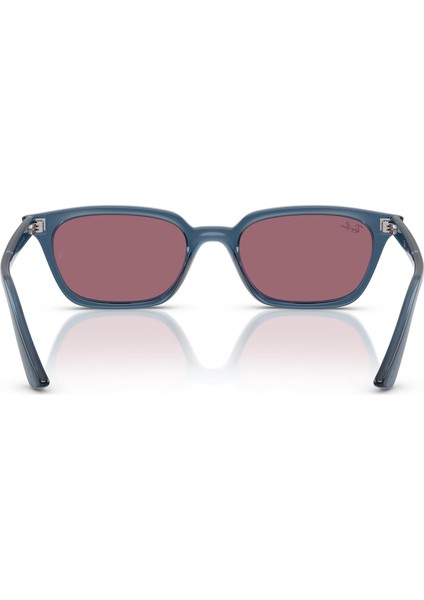 RB4456 68121A 50 Unisex Güneş Gözlüğü