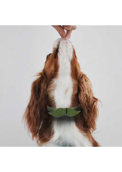 El İşçiliği Hakiki Deri Köpek Tasması
