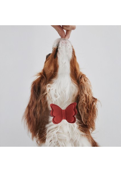 El İşçiliği Hakiki Deri Köpek Tasması