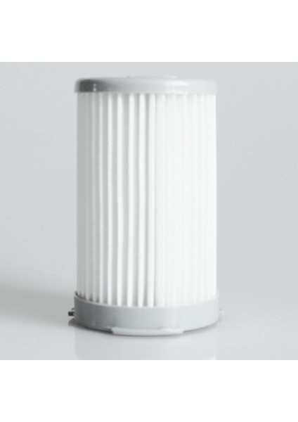 Electrolux ZS203 ZT17635 ZT17647 Elektrikli Süpürge Filtre Elemanları Için (Yurt Dışından)