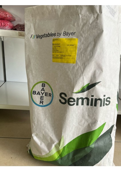 Seminis Gına Oturak Fasulye Tohumu 50 gr
