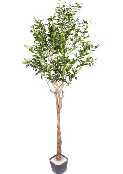 Yapay Zeytin Ağacı 1122 Yaprak Yeşil 160 Cm.