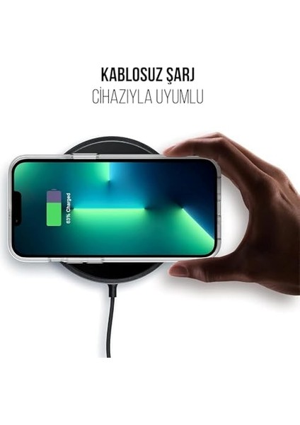 Apple iPhone Şeffaf Sert Kristal Mika Sararmaz Kılıf (Apple iPhone 14 Pro)