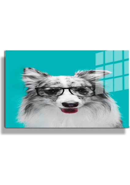 Eğlenceli Hayvanlar, Yapay Zeka Destekli, 3D Dekoratif Baskı Yatay Cam Tablo 288