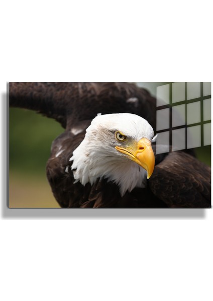 Eğlenceli Hayvanlar, Yapay Zeka Destekli, 3D Dekoratif Baskı Yatay Cam Tablo 252