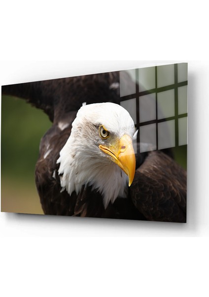 Eğlenceli Hayvanlar, Yapay Zeka Destekli, 3D Dekoratif Baskı Yatay Cam Tablo 252 fiyatları