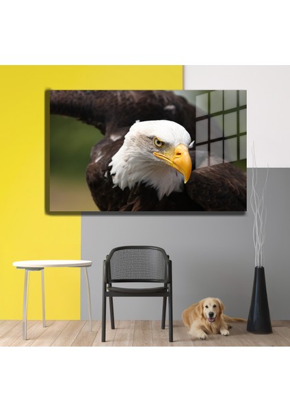 Eğlenceli Hayvanlar, Yapay Zeka Destekli, 3D Dekoratif Baskı Yatay Cam Tablo 252 modelleri