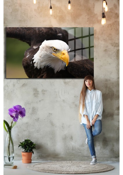 Eğlenceli Hayvanlar, Yapay Zeka Destekli, 3D Dekoratif Baskı Yatay Cam Tablo 252 fırsatları