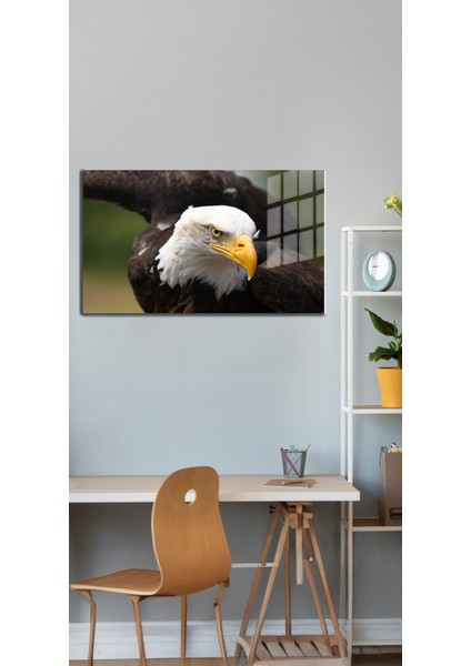 Eğlenceli Hayvanlar, Yapay Zeka Destekli, 3D Dekoratif Baskı Yatay Cam Tablo 252 indirimleri