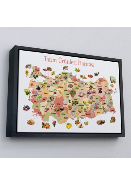 Çerçeveli Tarım Ürünleri Yerli Malı Haftası Türkiye HARITASI-1046 modelleri