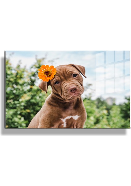 Eğlenceli Hayvanlar, Yapay Zeka Destekli, 3D Dekoratif Baskı Yatay Cam Tablo 393