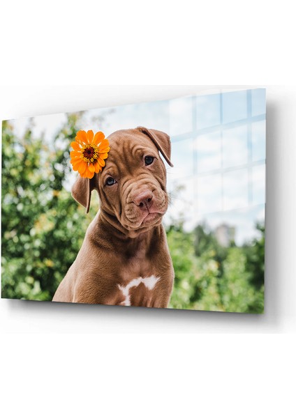 Eğlenceli Hayvanlar, Yapay Zeka Destekli, 3D Dekoratif Baskı Yatay Cam Tablo 393 fiyatları