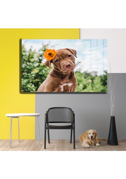 Eğlenceli Hayvanlar, Yapay Zeka Destekli, 3D Dekoratif Baskı Yatay Cam Tablo 393 modelleri