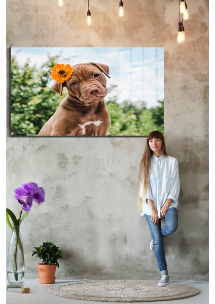 Eğlenceli Hayvanlar, Yapay Zeka Destekli, 3D Dekoratif Baskı Yatay Cam Tablo 393 fırsatları