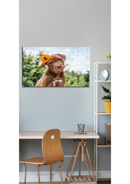 Eğlenceli Hayvanlar, Yapay Zeka Destekli, 3D Dekoratif Baskı Yatay Cam Tablo 393 indirimleri