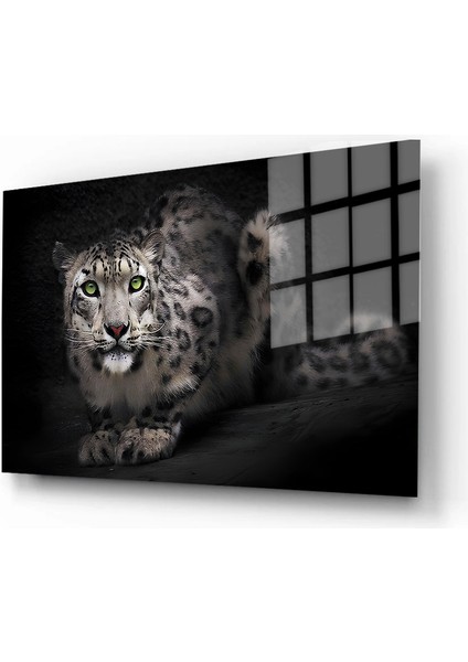 Eğlenceli Hayvanlar, Yapay Zeka Destekli, 3D Dekoratif Baskı Yatay Cam Tablo 139 fiyatları