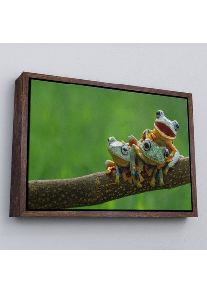 Çerçeveli Küçük Kurbağalar Dekoratif Kanvas TABLO-1179