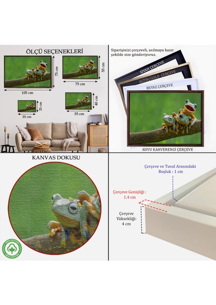 Çerçeveli Küçük Kurbağalar Dekoratif Kanvas TABLO-1179 indirimleri