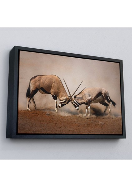 Çerçeveli Antilob Dekoratif Kanvas TABLO-1117