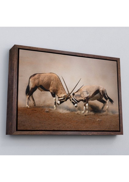 Çerçeveli Antilob Dekoratif Kanvas TABLO-1117 fiyatları