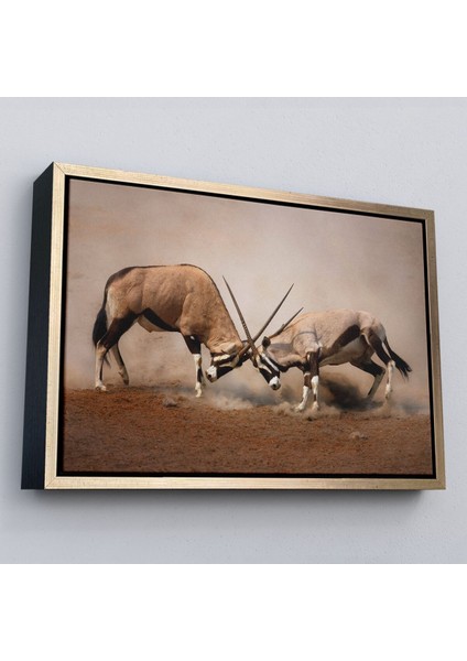Çerçeveli Antilob Dekoratif Kanvas TABLO-1117 modelleri