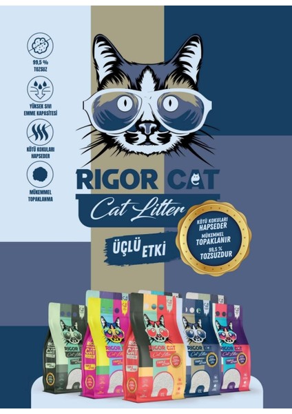 Aktif Karbonlu Topaklanan Kedi Kumu 2 x 10 L